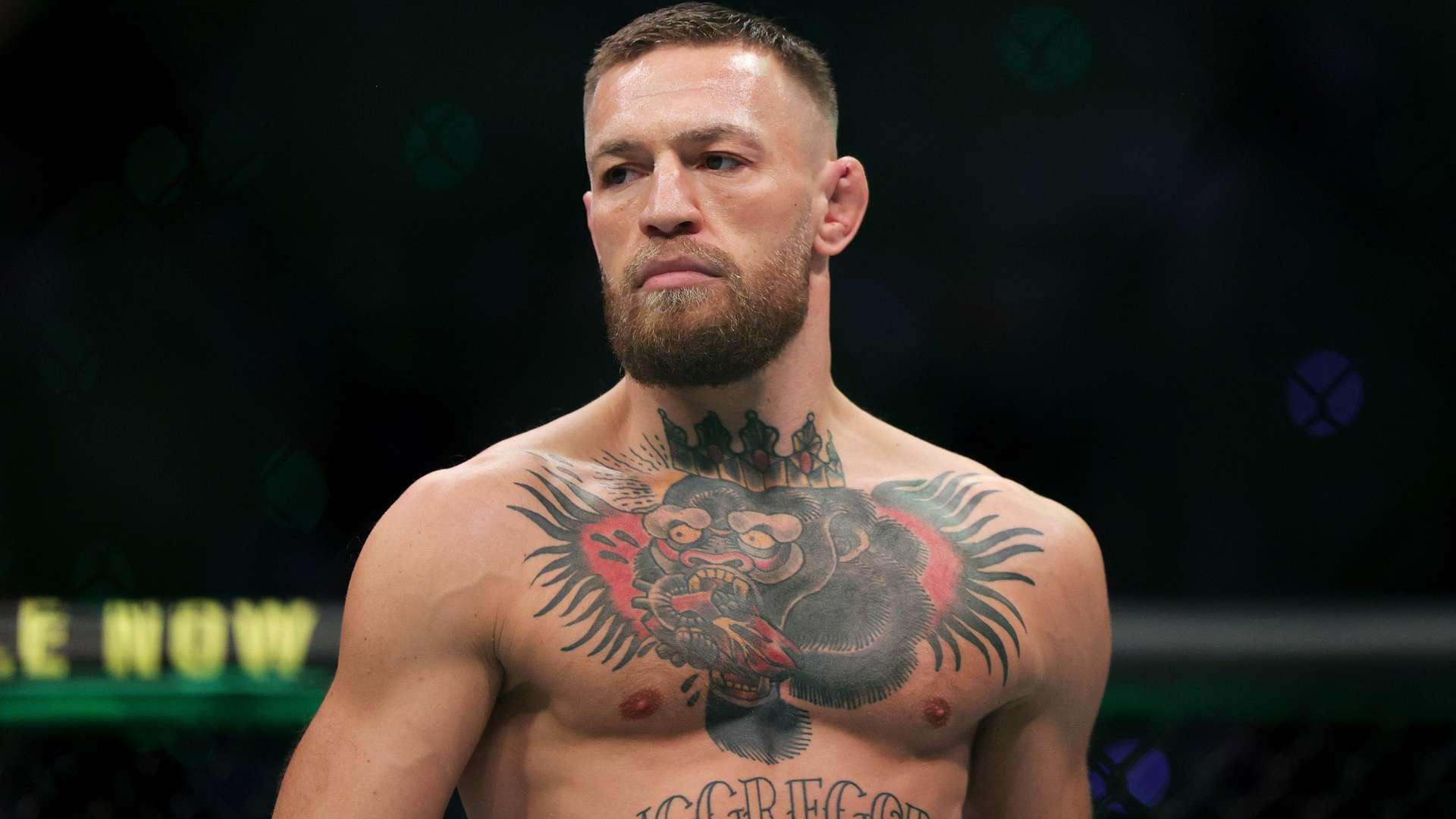 煌与不足 煌与不足