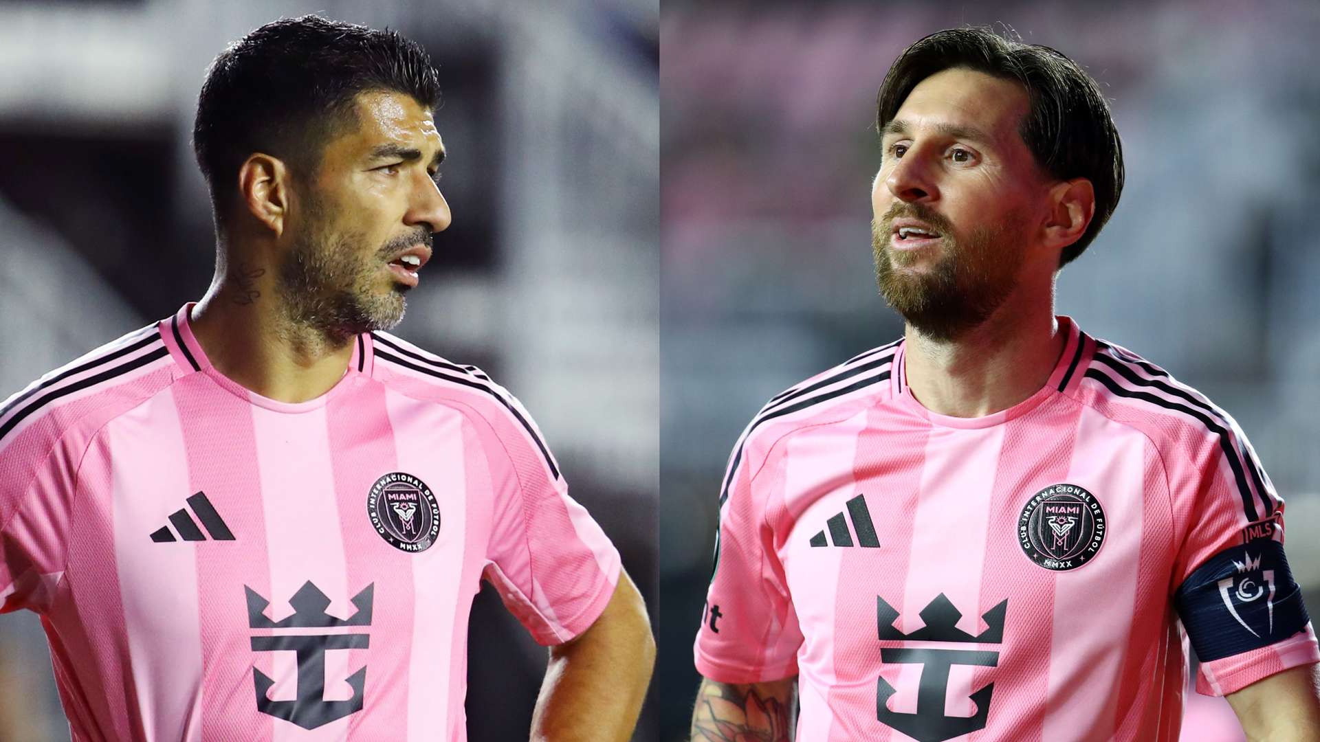 野的成功更 野的成功更