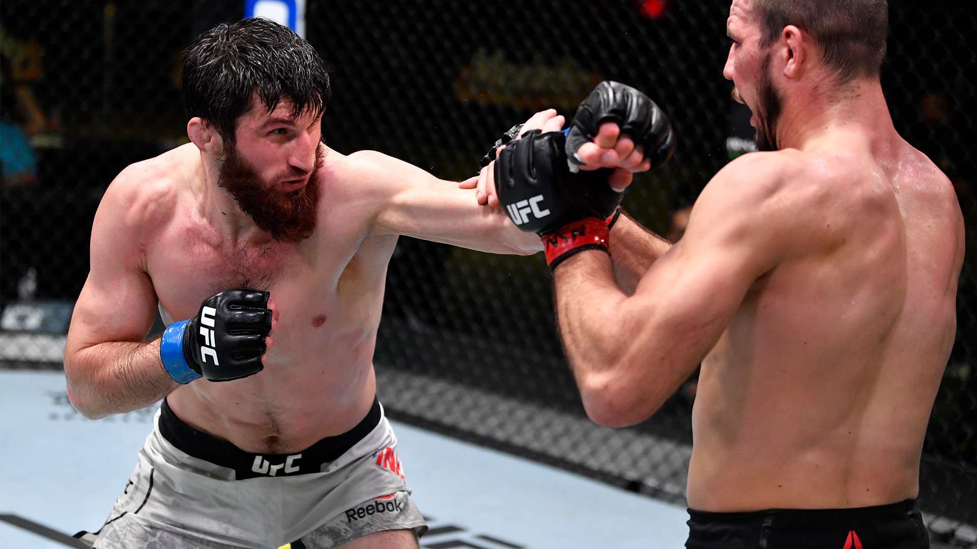 赛事中争取 赛事中争取